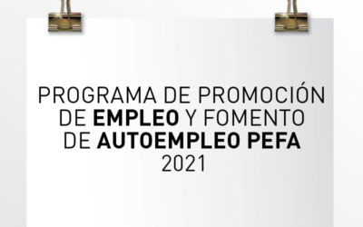 Nota de Aviso 17/2021. Programa de promoción de empleo y fomento de autoempleo PEFA 2021 – Subvenciones a fondo perdido para empresas.