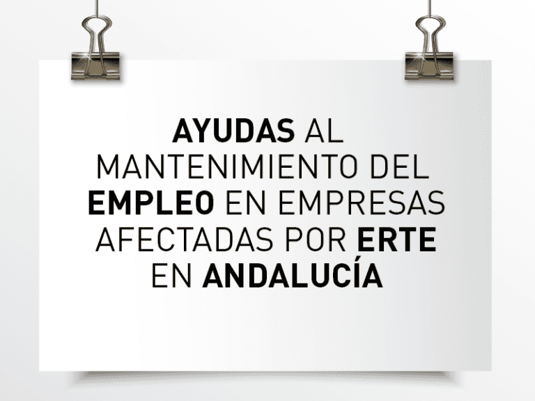mantenimiento del empleo en empresas